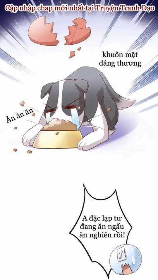 Dưới Móng Vuốt Mèo - Chapter 17 - Trang 93