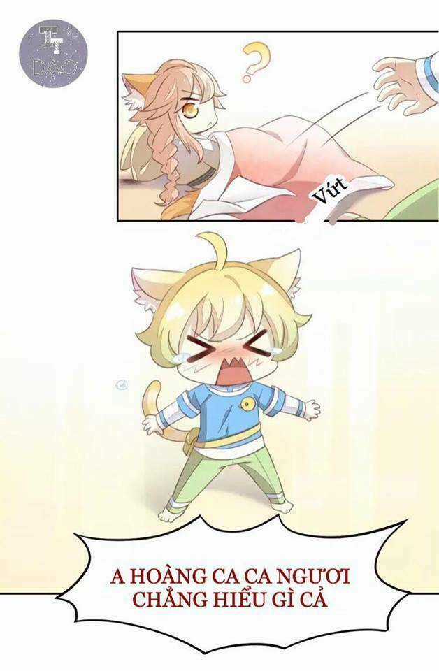 Dưới Móng Vuốt Mèo - Chapter 18 - Trang 12