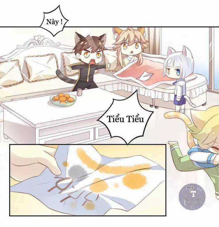 Dưới Móng Vuốt Mèo - Chapter 18 - Trang 13