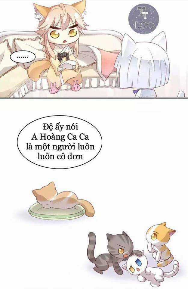 Dưới Móng Vuốt Mèo - Chapter 18 - Trang 15