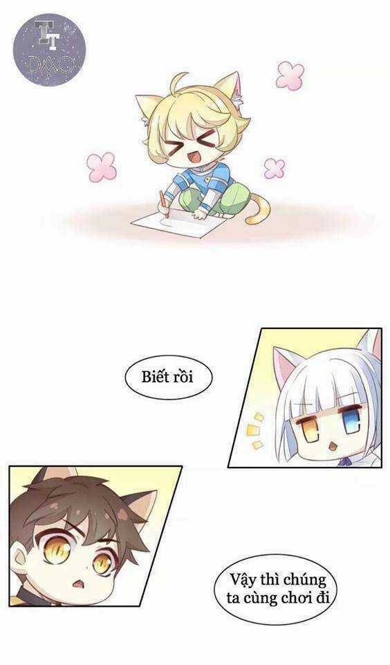 Dưới Móng Vuốt Mèo - Chapter 18 - Trang 17