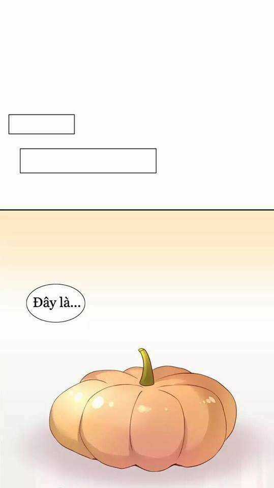 Dưới Móng Vuốt Mèo - Chapter 18 - Trang 19