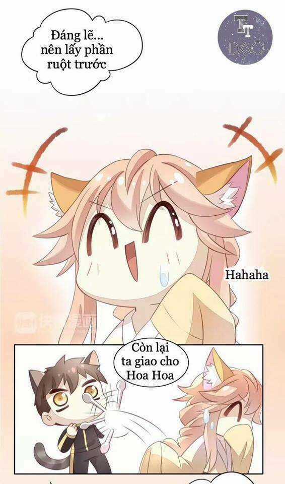 Dưới Móng Vuốt Mèo - Chapter 18 - Trang 24