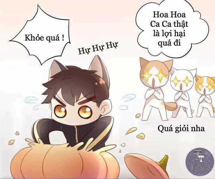 Dưới Móng Vuốt Mèo - Chapter 18 - Trang 25