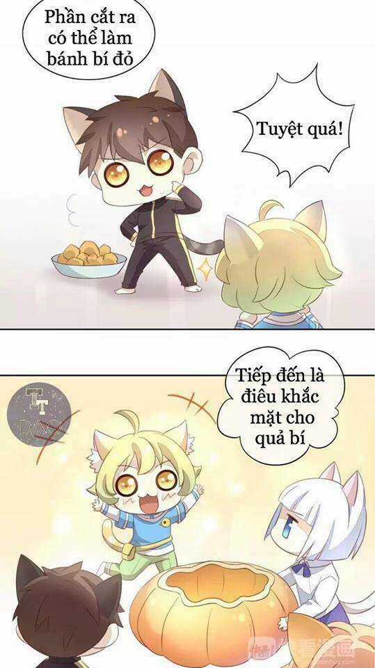 Dưới Móng Vuốt Mèo - Chapter 18 - Trang 27