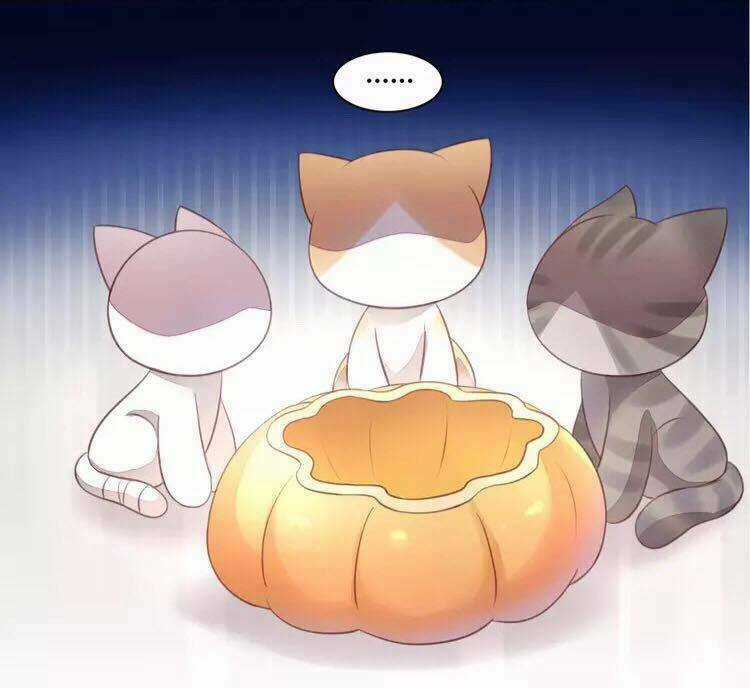 Dưới Móng Vuốt Mèo - Chapter 18 - Trang 29