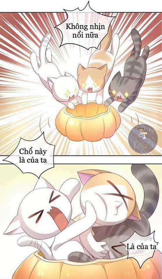 Dưới Móng Vuốt Mèo - Chapter 18 - Trang 32