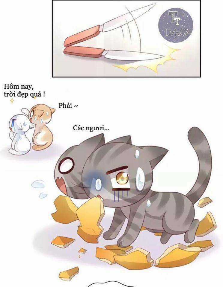 Dưới Móng Vuốt Mèo - Chapter 18 - Trang 34