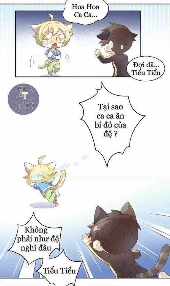 Dưới Móng Vuốt Mèo - Chapter 18 - Trang 35