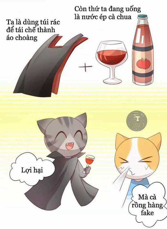 Dưới Móng Vuốt Mèo - Chapter 18 - Trang 42