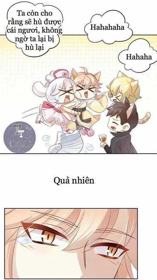 Dưới Móng Vuốt Mèo - Chapter 18 - Trang 48
