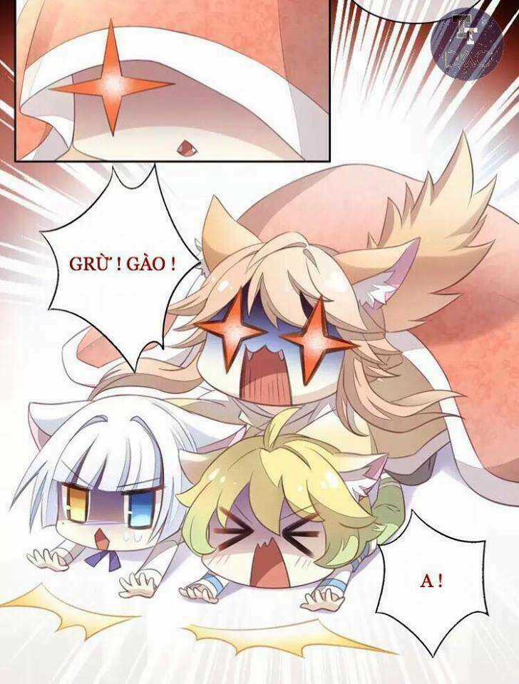 Dưới Móng Vuốt Mèo - Chapter 18 - Trang 7