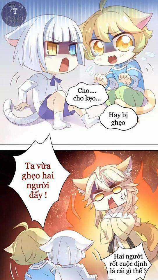 Dưới Móng Vuốt Mèo - Chapter 18 - Trang 8