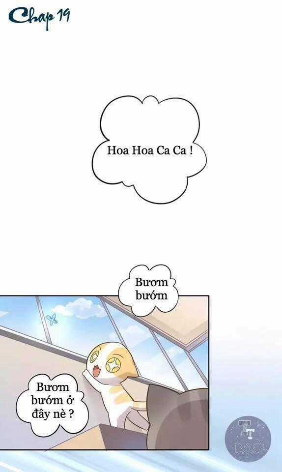 Dưới Móng Vuốt Mèo - Chapter 19 - Trang 1