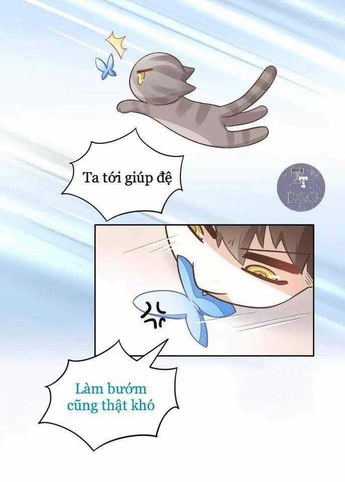 Dưới Móng Vuốt Mèo - Chapter 19 - Trang 2