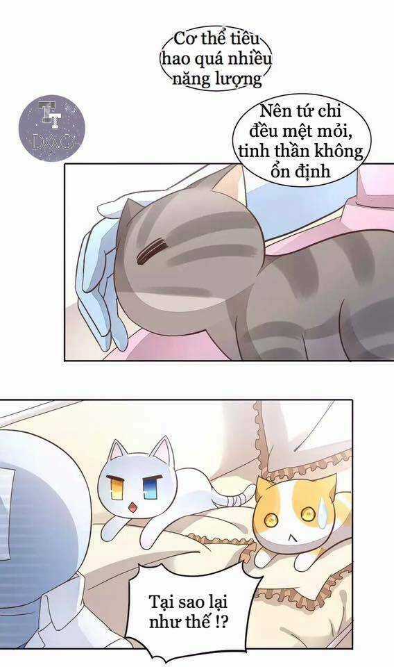 Dưới Móng Vuốt Mèo - Chapter 19 - Trang 11