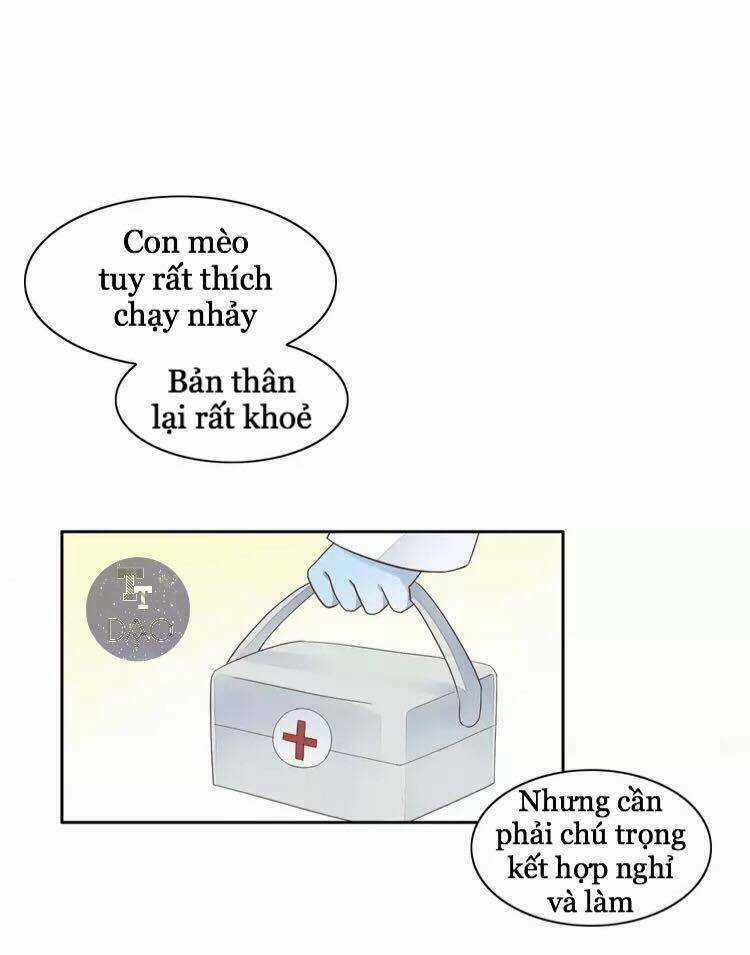 Dưới Móng Vuốt Mèo - Chapter 19 - Trang 14