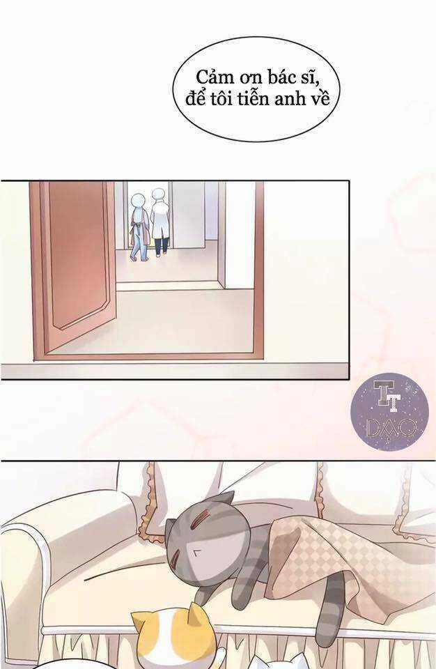 Dưới Móng Vuốt Mèo - Chapter 19 - Trang 16