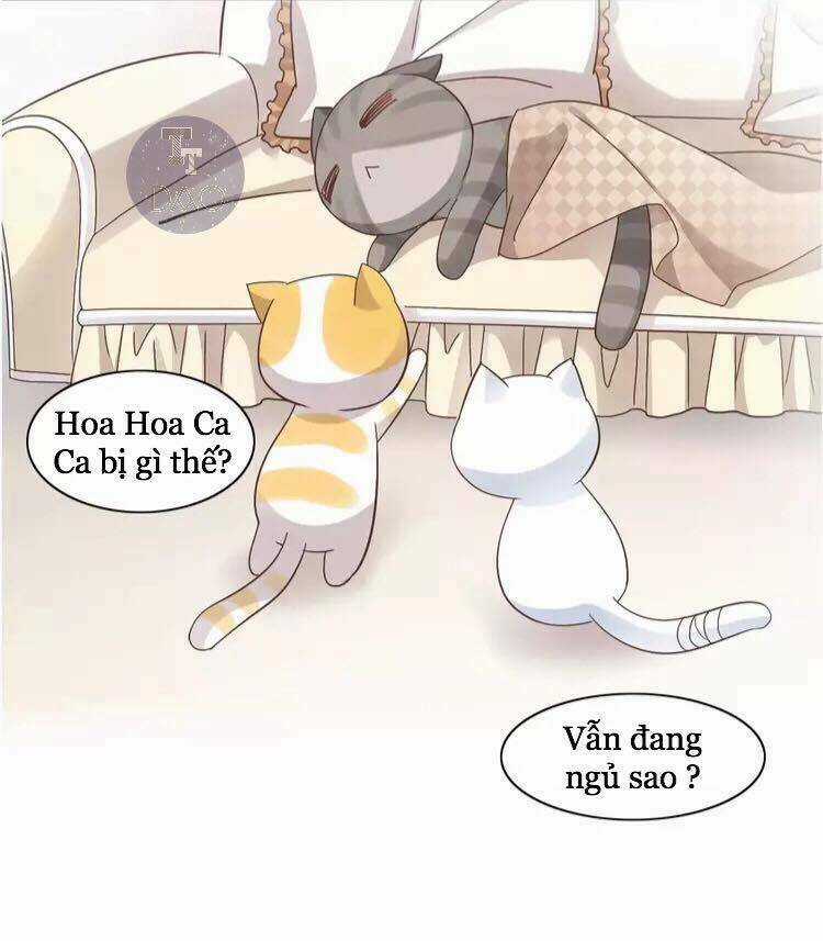 Dưới Móng Vuốt Mèo - Chapter 19 - Trang 17