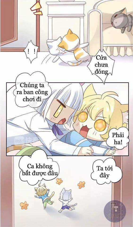 Dưới Móng Vuốt Mèo - Chapter 19 - Trang 19