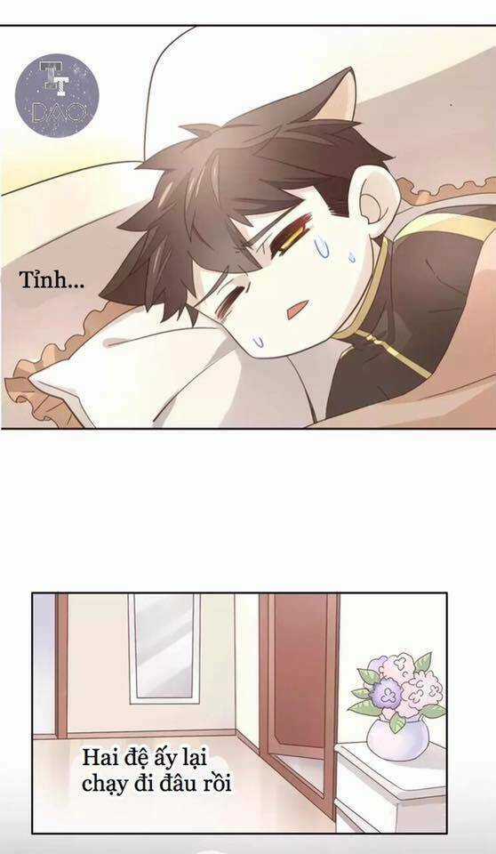 Dưới Móng Vuốt Mèo - Chapter 19 - Trang 20