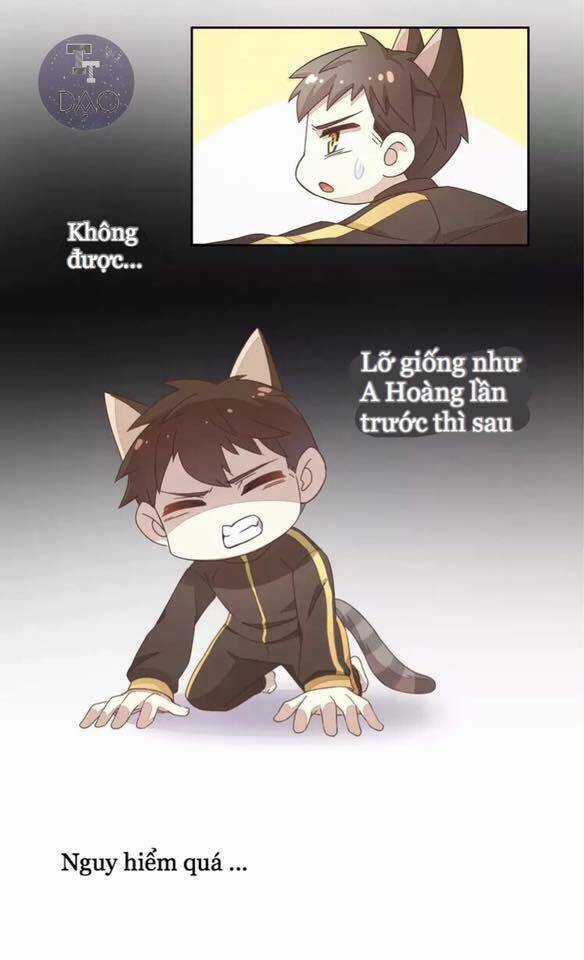 Dưới Móng Vuốt Mèo - Chapter 19 - Trang 21