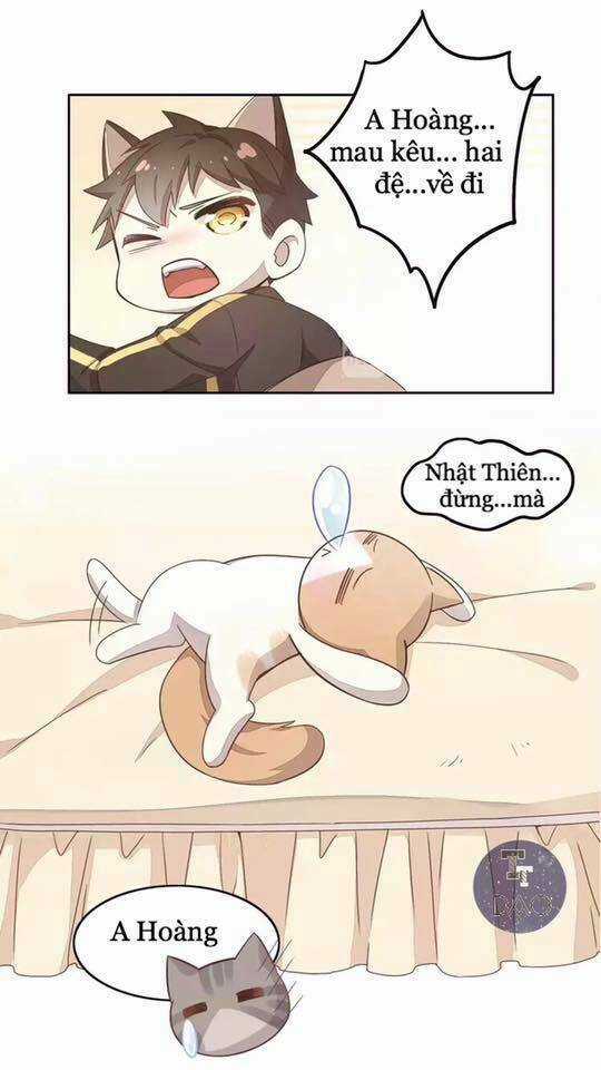 Dưới Móng Vuốt Mèo - Chapter 19 - Trang 22