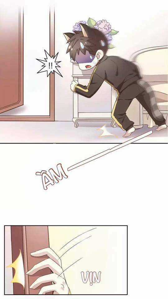 Dưới Móng Vuốt Mèo - Chapter 19 - Trang 24