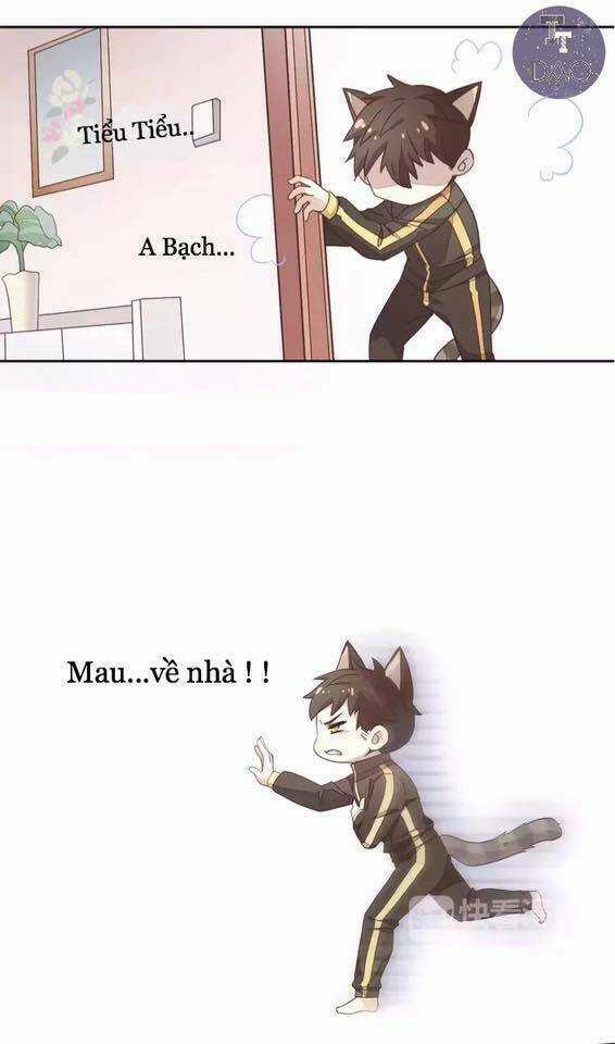 Dưới Móng Vuốt Mèo - Chapter 19 - Trang 25