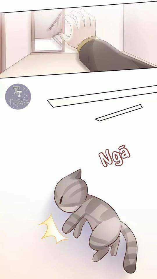 Dưới Móng Vuốt Mèo - Chapter 19 - Trang 26