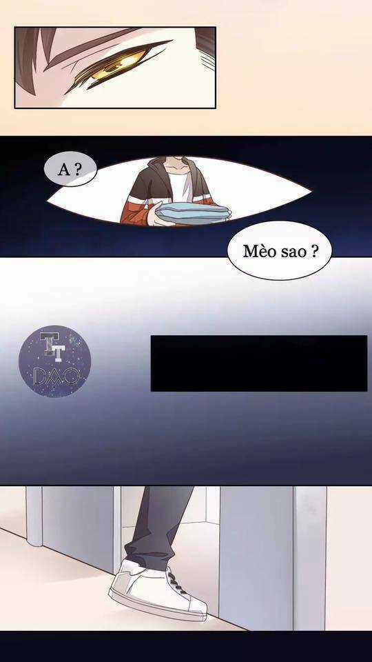 Dưới Móng Vuốt Mèo - Chapter 19 - Trang 27