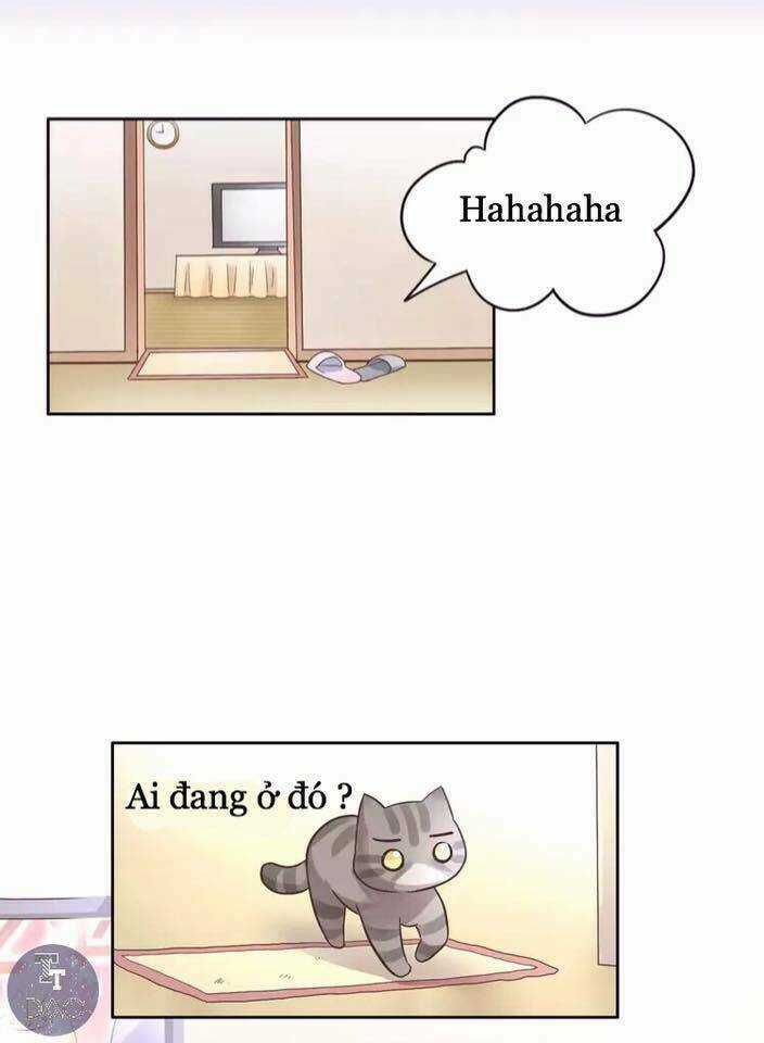 Dưới Móng Vuốt Mèo - Chapter 19 - Trang 30