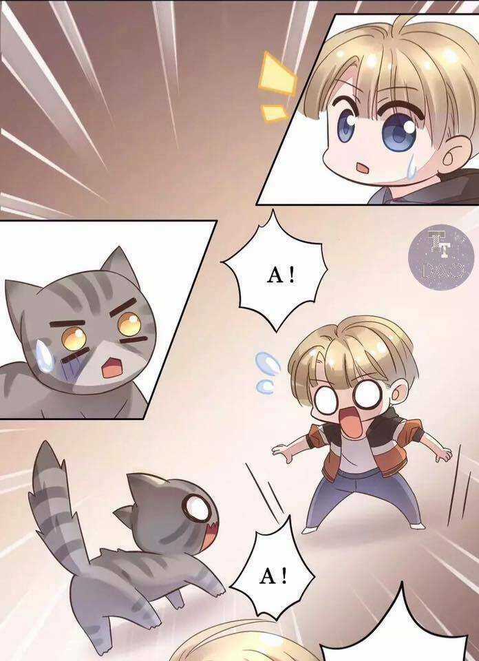 Dưới Móng Vuốt Mèo - Chapter 19 - Trang 32