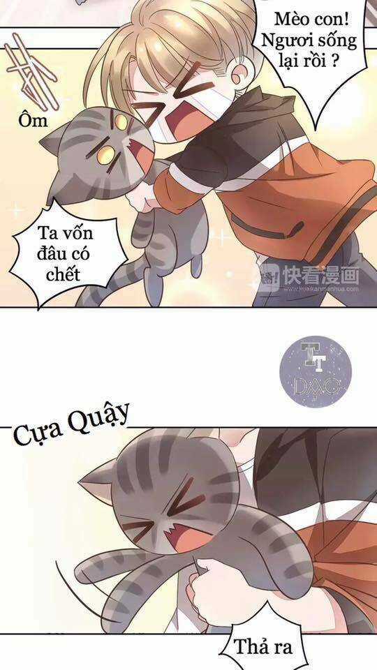 Dưới Móng Vuốt Mèo - Chapter 19 - Trang 33