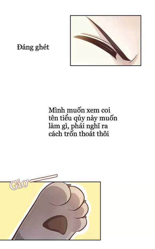 Dưới Móng Vuốt Mèo - Chapter 19 - Trang 35