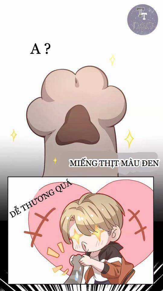 Dưới Móng Vuốt Mèo - Chapter 19 - Trang 36
