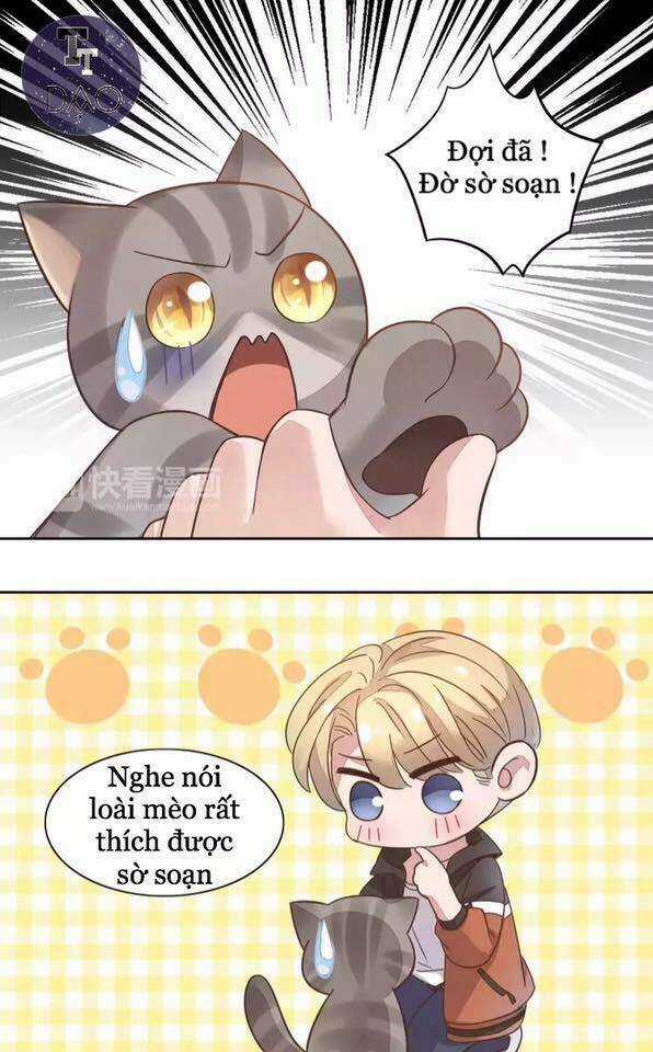 Dưới Móng Vuốt Mèo - Chapter 19 - Trang 37