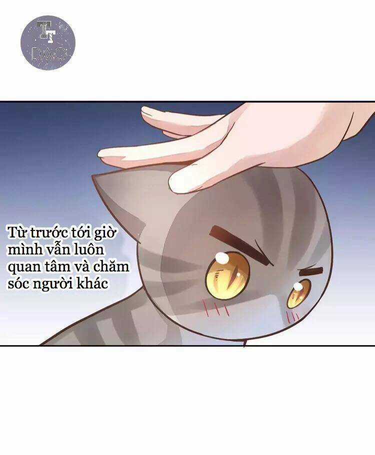 Dưới Móng Vuốt Mèo - Chapter 19 - Trang 41