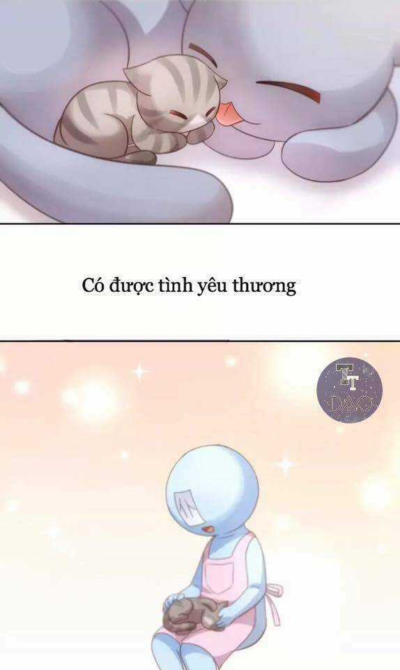 Dưới Móng Vuốt Mèo - Chapter 19 - Trang 43