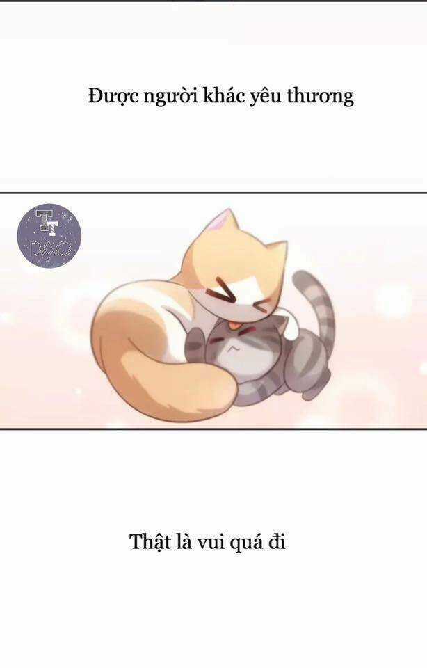 Dưới Móng Vuốt Mèo - Chapter 19 - Trang 44