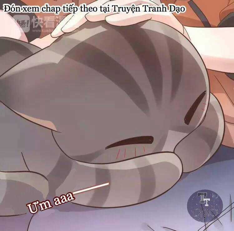 Dưới Móng Vuốt Mèo - Chapter 19 - Trang 47