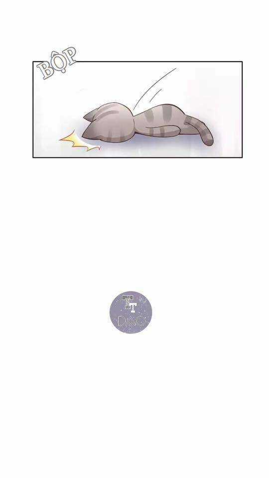 Dưới Móng Vuốt Mèo - Chapter 19 - Trang 7