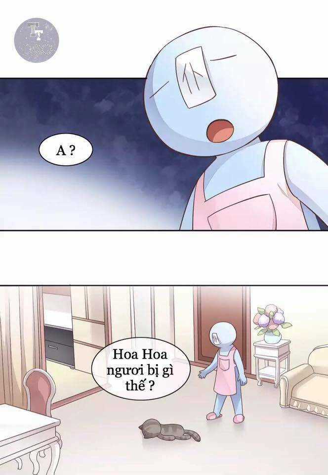 Dưới Móng Vuốt Mèo - Chapter 19 - Trang 8