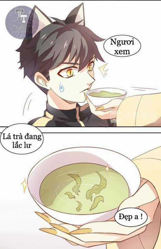 Dưới Móng Vuốt Mèo - Chapter 2 - Trang 12