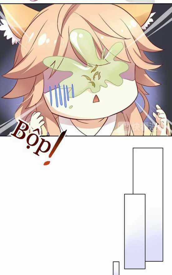 Dưới Móng Vuốt Mèo - Chapter 2 - Trang 17