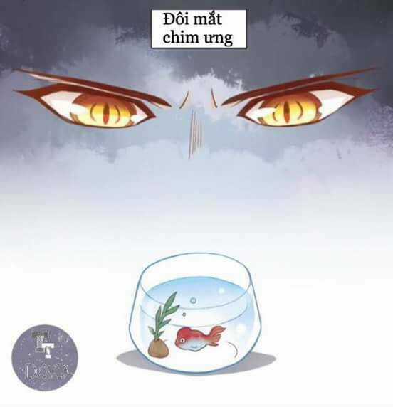 Dưới Móng Vuốt Mèo - Chapter 2 - Trang 3