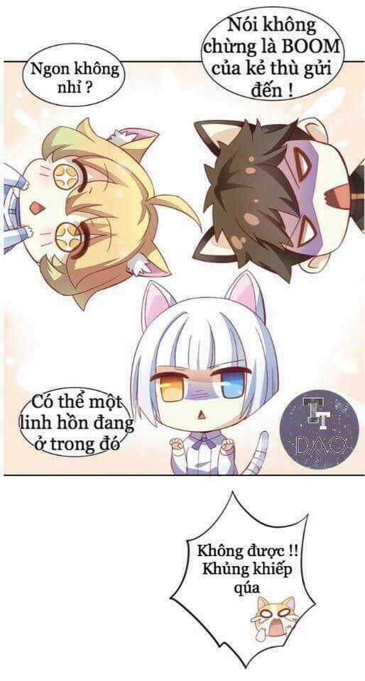 Dưới Móng Vuốt Mèo - Chapter 2 - Trang 21