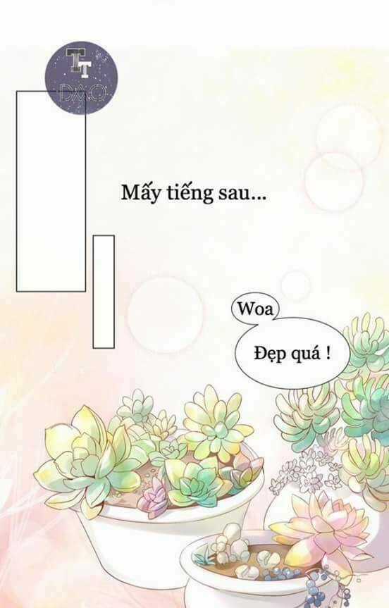 Dưới Móng Vuốt Mèo - Chapter 2 - Trang 23