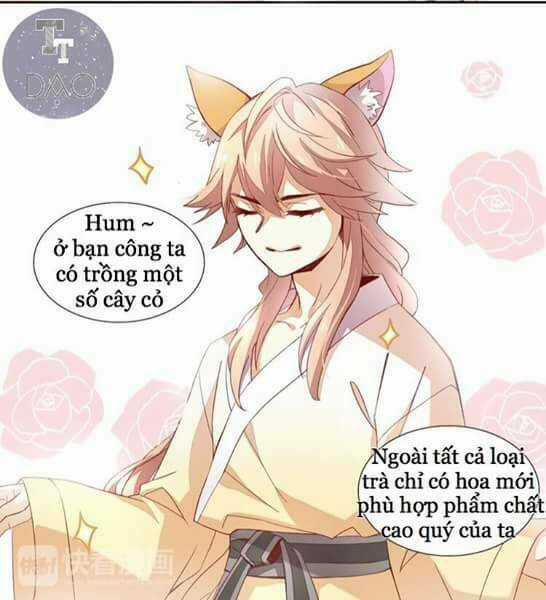 Dưới Móng Vuốt Mèo - Chapter 2 - Trang 24