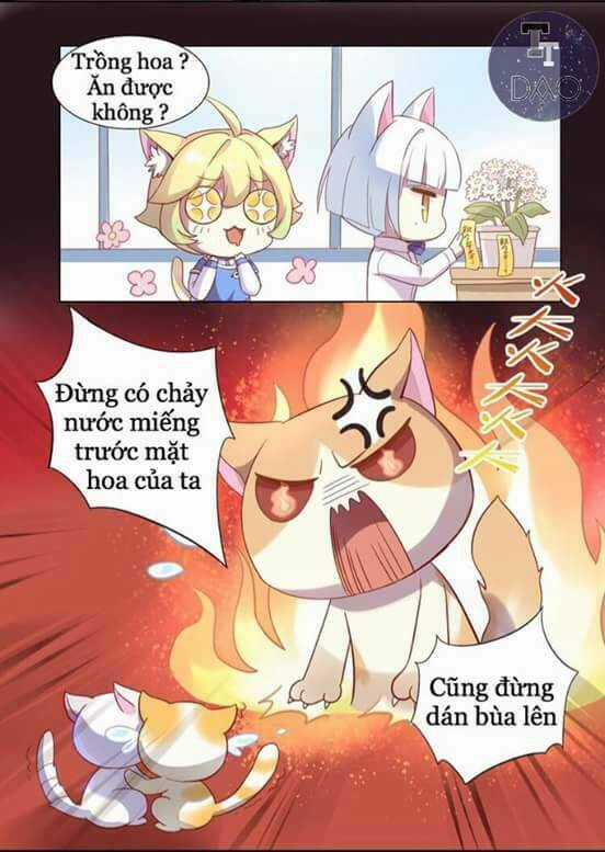 Dưới Móng Vuốt Mèo - Chapter 2 - Trang 25